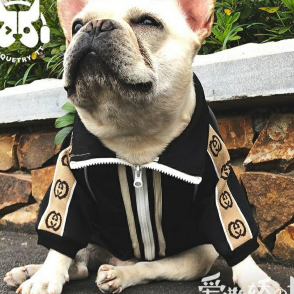 🎉HP🎉Doggy track jacket